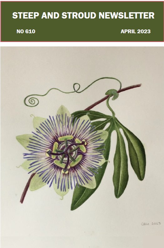 Steep Village Newsletter Apr 23