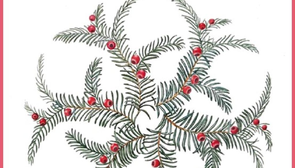 Steep Village Newsletter Dec 22-Jan 23